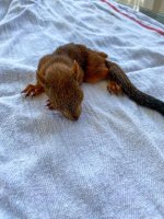 IMG_6574.jpeg